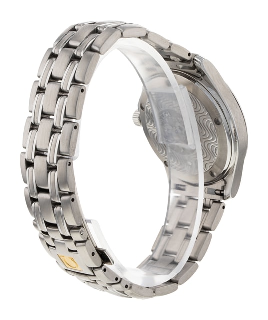 Omega Seamaster 120m 2501.21.00 Image 3